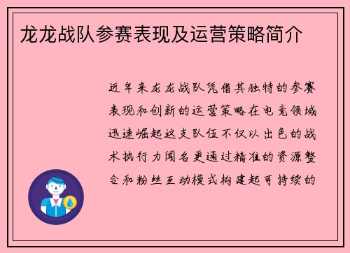 龙龙战队参赛表现及运营策略简介